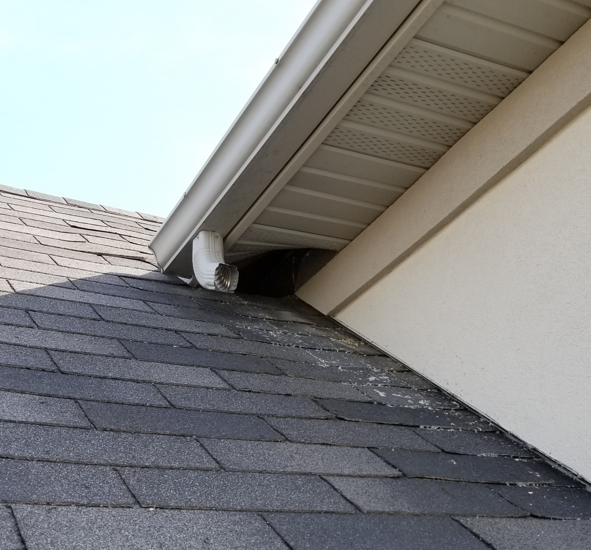 Typical raccoon soffit entry point story