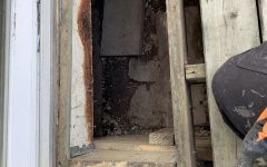 Raccoons getting into walls