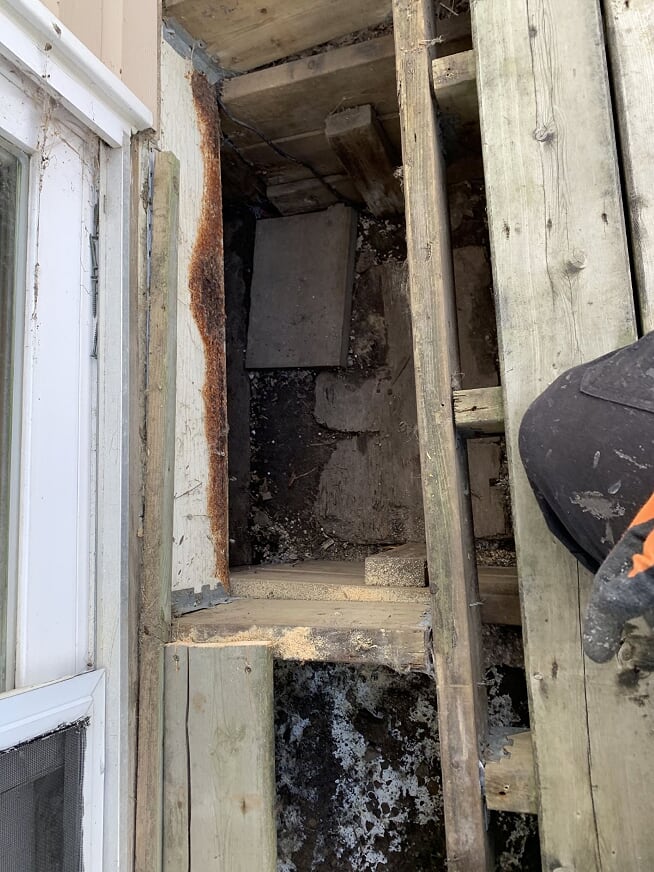 Raccoons getting into walls