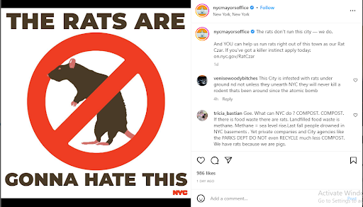 New York looking for rat exterminators